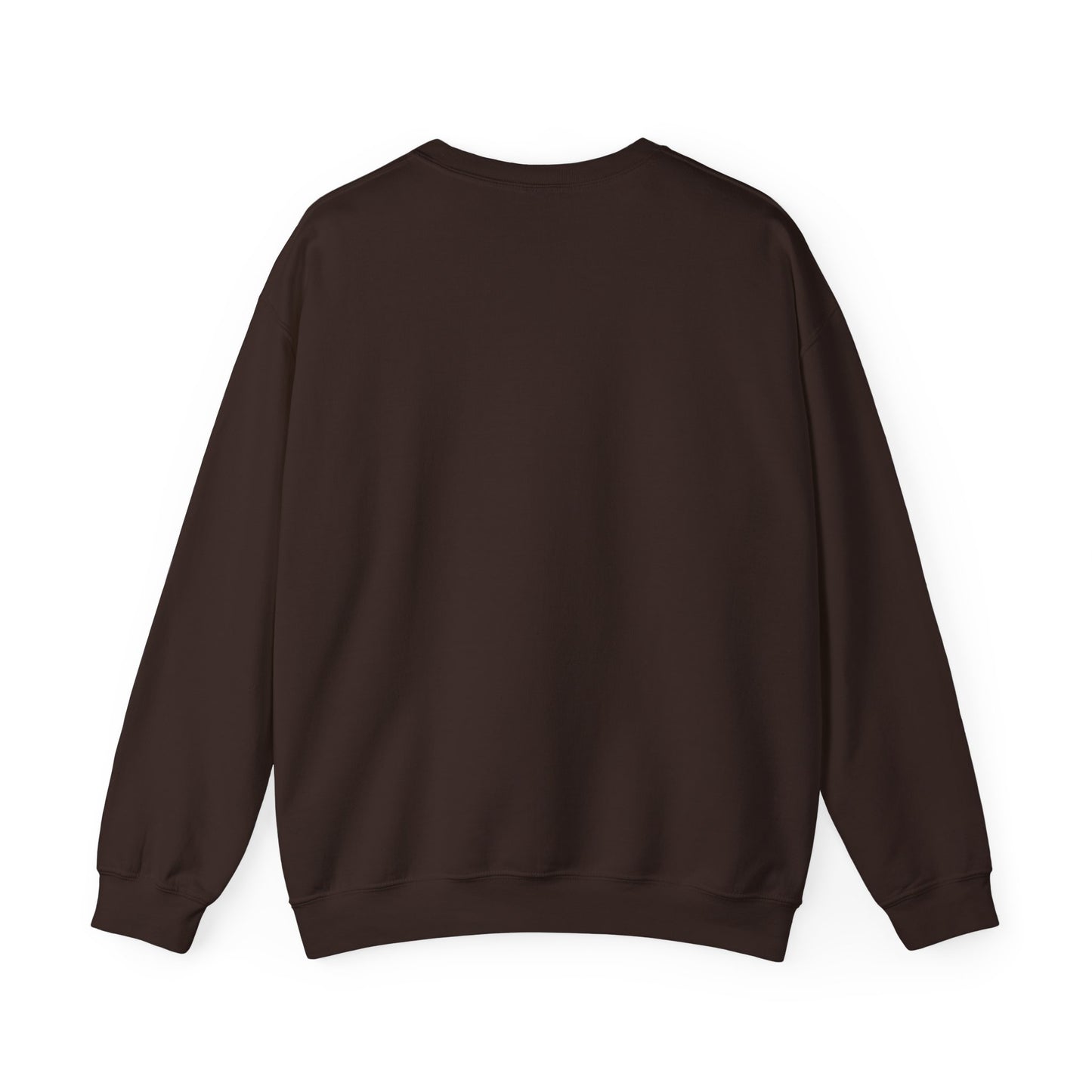 Eyes on Palestine, Sweatshirt