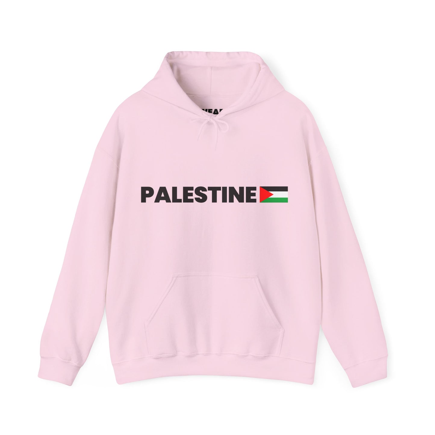 Voices For Palestine Hoodie