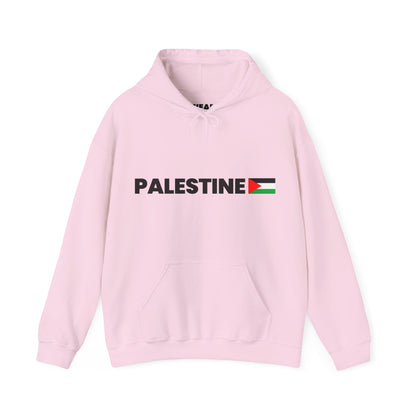 Voices For Palestine Hoodie