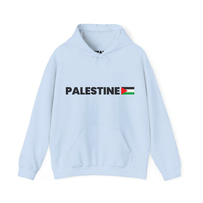Voices For Palestine Hoodie