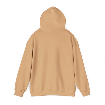 Voices For Palestine Hoodie