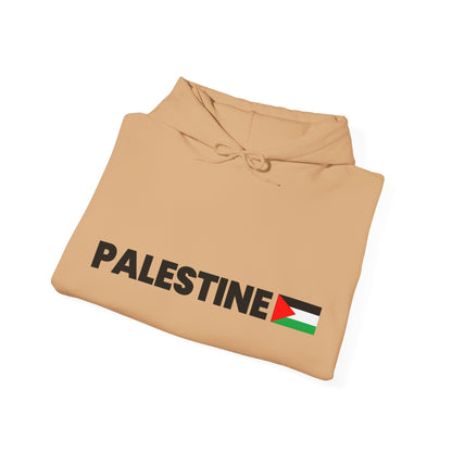 Voices For Palestine Hoodie