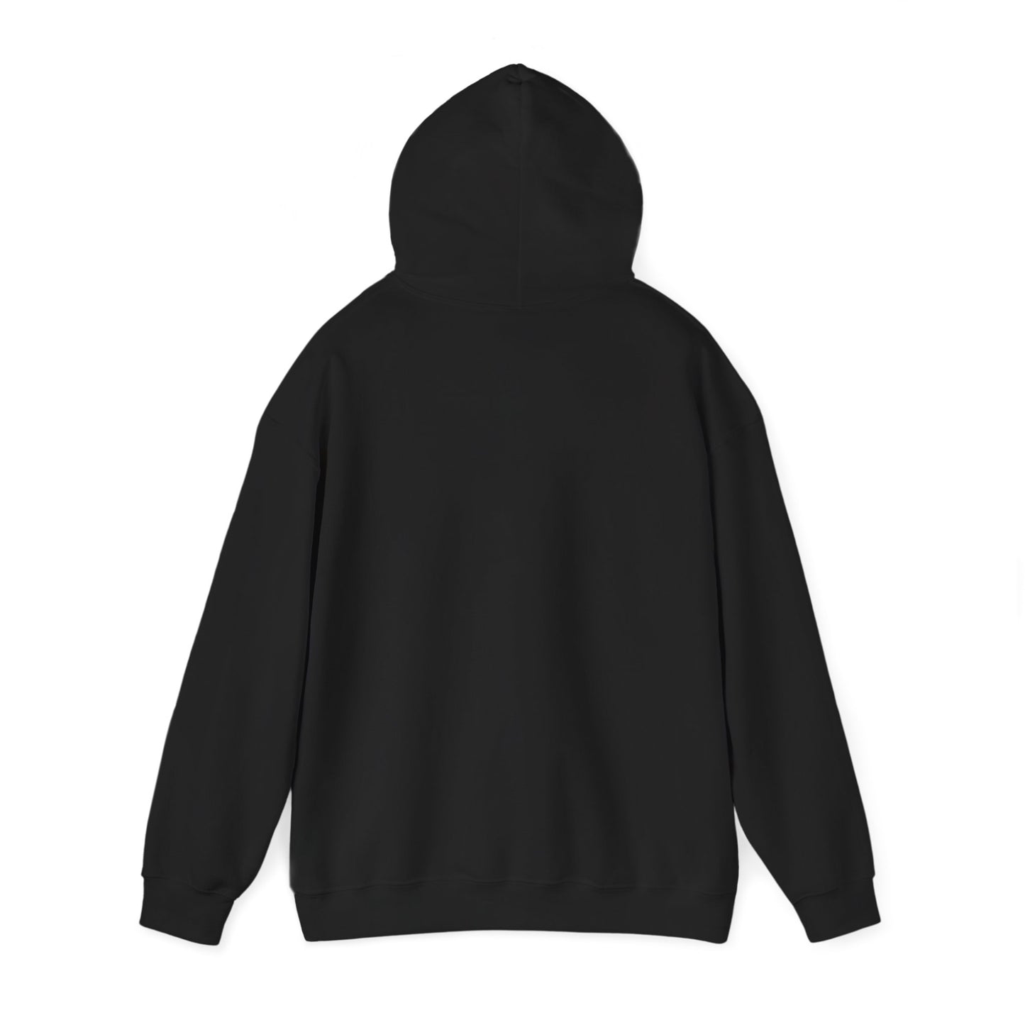 Eyes on Palestine, Hoodie