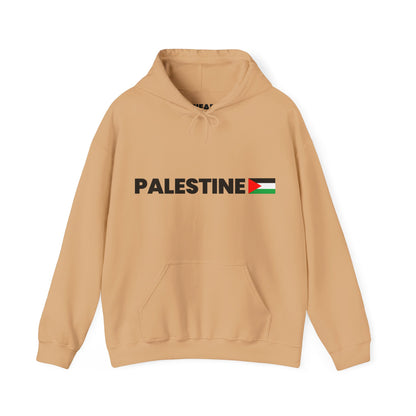 Voices For Palestine Hoodie