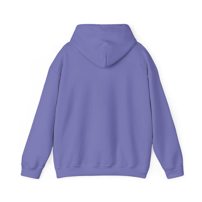 Voices For Palestine Hoodie