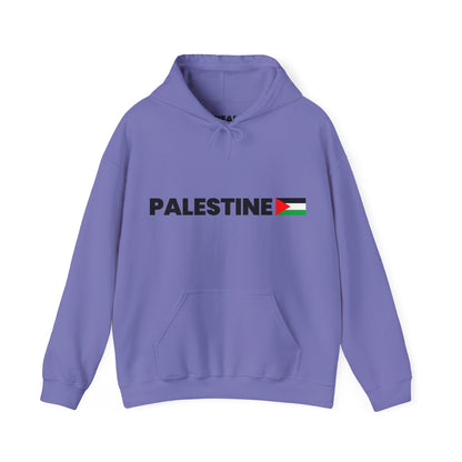 Voices For Palestine Hoodie