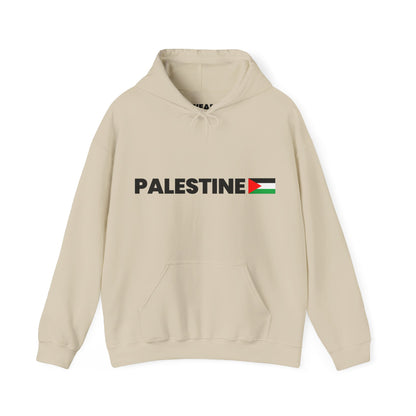 Voices For Palestine Hoodie