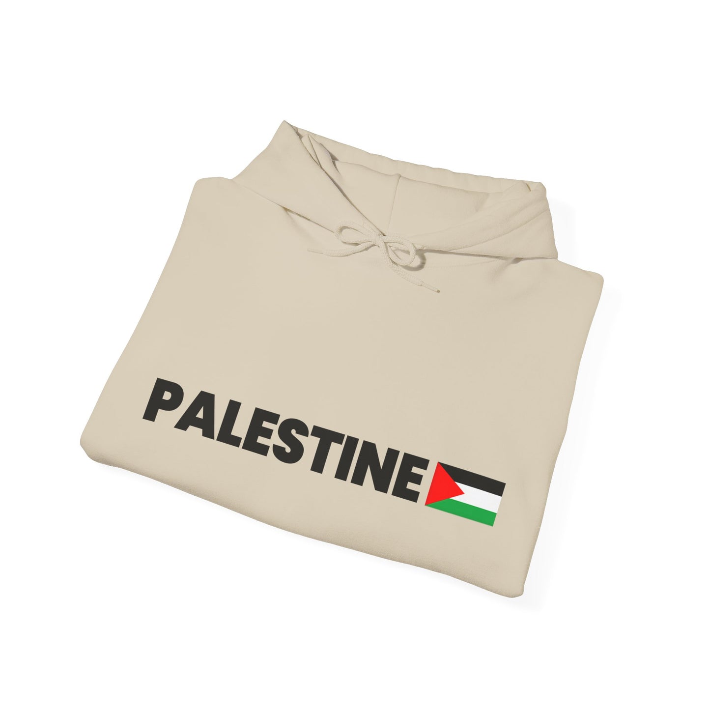 Voices For Palestine Hoodie