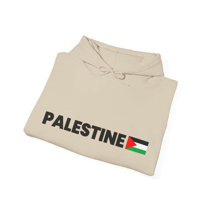 Voices For Palestine Hoodie