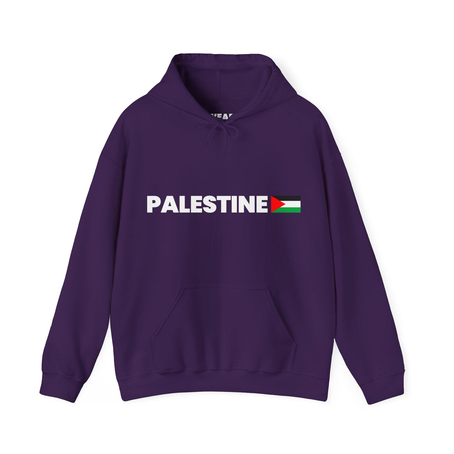 Voices For Palestine Hoodie