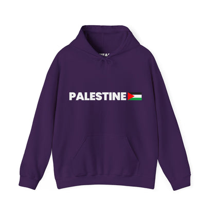 Voices For Palestine Hoodie