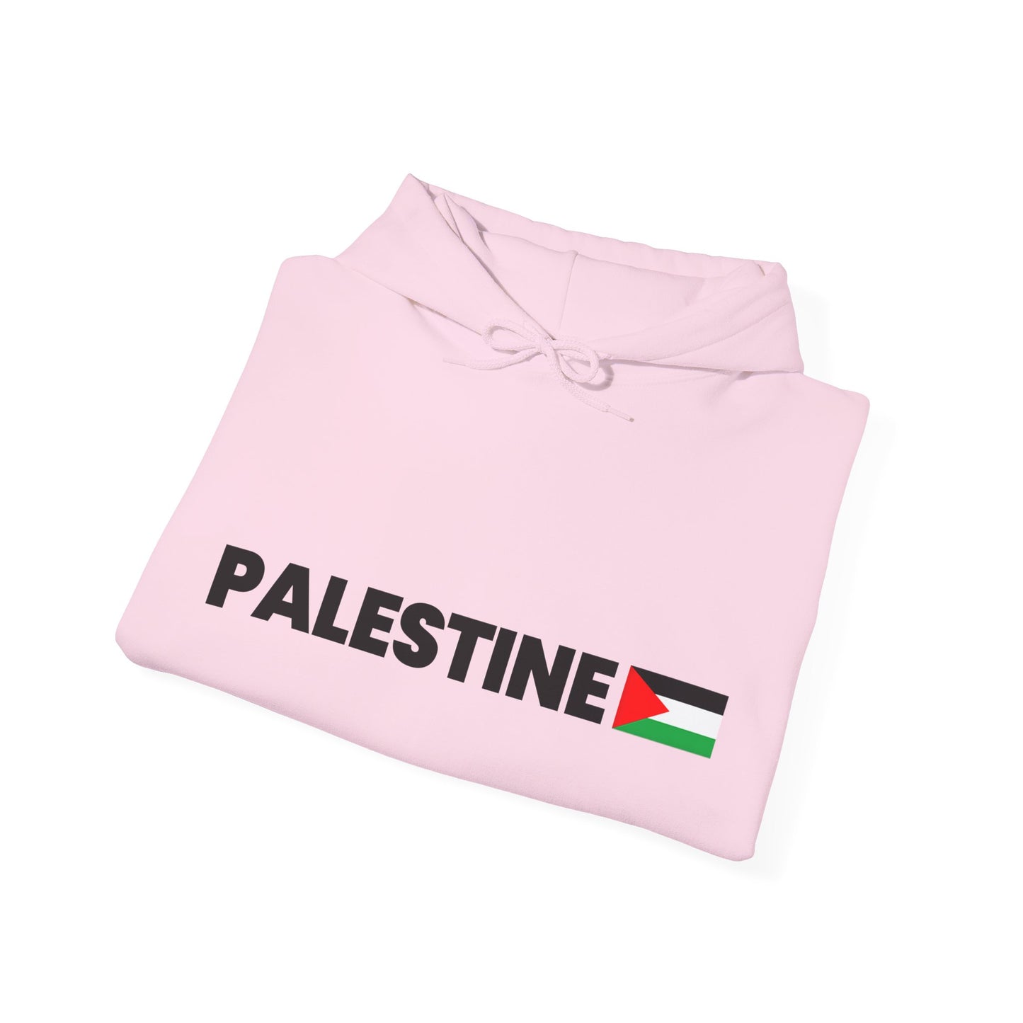 Voices For Palestine Hoodie