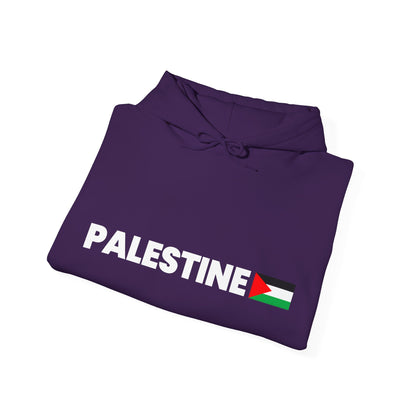 Voices For Palestine Hoodie