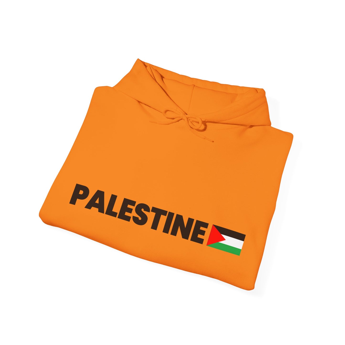 Voices For Palestine Hoodie