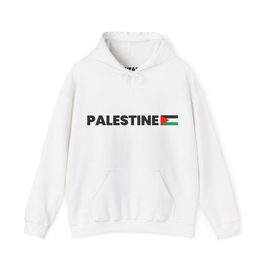 Voices For Palestine Hoodie
