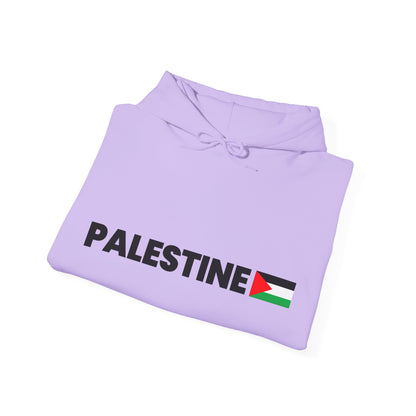 Voices For Palestine Hoodie