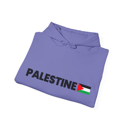 Voices For Palestine Hoodie